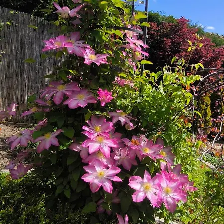 Hébergement de vacances Na Divokom Vrsku Jamník