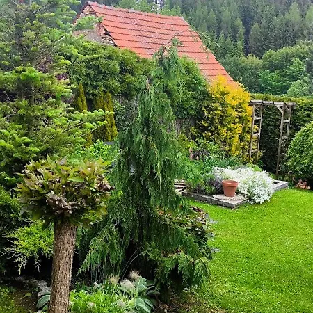 Na Divokom Vrsku * Jamník