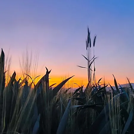 펜션 Na Divokom Vrsku Jamník