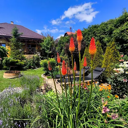 Hébergement de vacances Na Divokom Vrsku